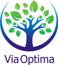 Via Optima | Konzultace, poradenství, koučink